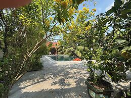 Amazing Ninh Binh Garden