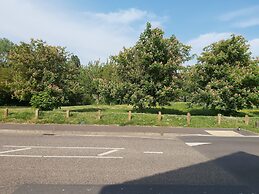 Huku Kwetu - Fieldfare Green