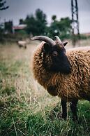 Le Jardin-chambres D'hôtes en Baie