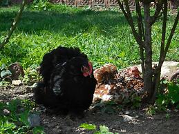 Le Jardin-chambres D'hôtes en Baie