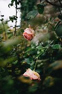 Le Jardin-chambres D'hôtes en Baie