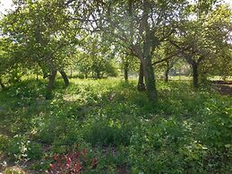 Le Jardin-chambres D'hôtes en Baie