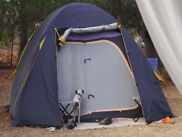 Camping Ciauli