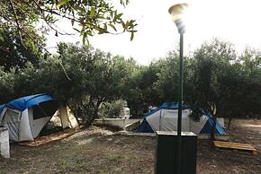 Camping Ciauli