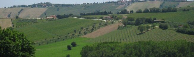 I Tre Filari