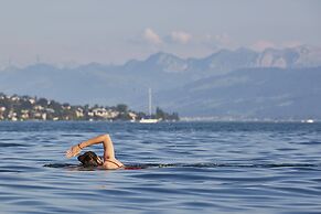 Alex Lake Zürich