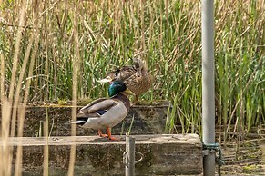Apartment 2 bedroom with lake view