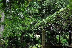 Green Corridor - Ahangama