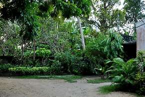 Green Corridor - Ahangama