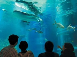 Henn na Resort & Spa Kansai Airport