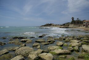 Fiori Gialli Caucana