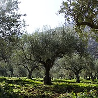 Agriturismo Castelluzzo