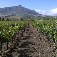 Agriturismo Castelluzzo