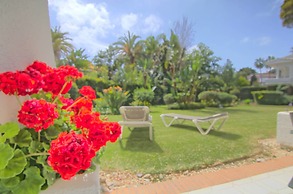 La Petunia Apartment