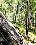 Shikhar Nature Resort