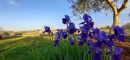 Trulli sotto La Cupa