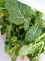 Trulli sotto La Cupa