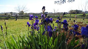 Trulli sotto La Cupa