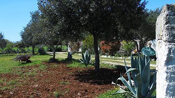 Trulli sotto La Cupa