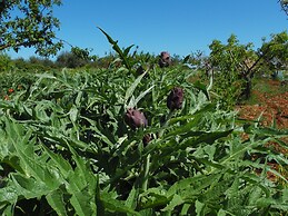 Trulli sotto La Cupa