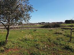 Trulli sotto La Cupa