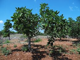 Trulli sotto La Cupa