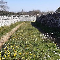 Trulli sotto La Cupa