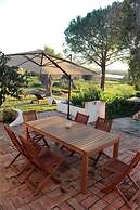 Akivillas Tavira Pine