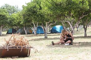 Bodrum Ecofarm Camp Hostel