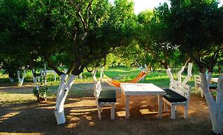 Bodrum Ecofarm Camp Hostel