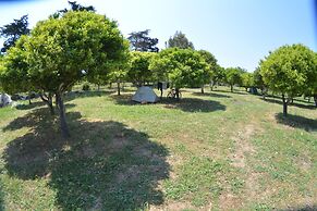 Bodrum Ecofarm Camp Hostel