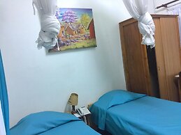 Tana-Jacaranda - Hostel