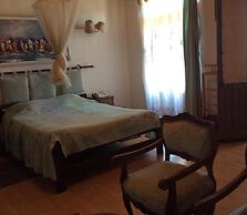 Tana-Jacaranda - Hostel