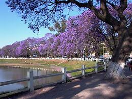 Tana-Jacaranda - Hostel