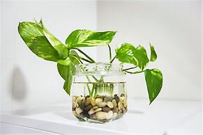 Apart. De Lujo Conde de Gondomar