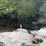 Pousada Pouso do Rio