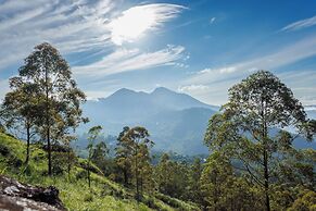 Amber Dale Luxury Hotel & Spa