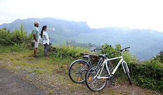 Amber Dale Luxury Hotel & Spa