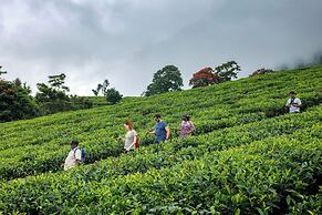 Amber Dale Luxury Hotel & Spa