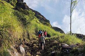 Amber Dale Luxury Hotel & Spa