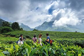 Amber Dale Luxury Hotel & Spa