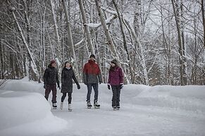 Blue Mountain Resort Mosaic Suites