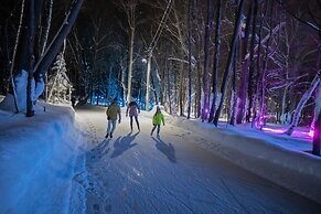 Blue Mountain Resort Mosaic Suites