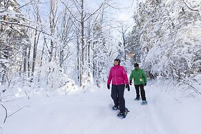 Blue Mountain Resort Mosaic Suites