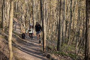 Blue Mountain Resort Inn