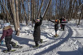 Blue Mountain Resort Home Collection