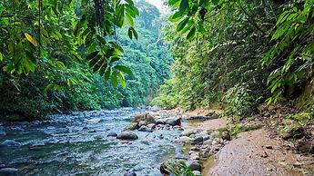 Heimatlos Rainforest Lodge