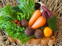 Kirishima Miyama Hotel