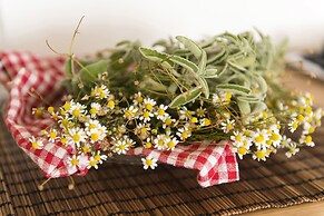 Syros Wellness Luxury Suites