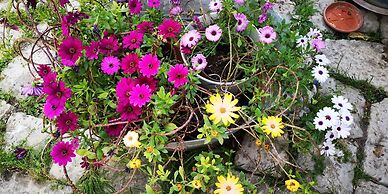 B&B Il giardino dei sospiri